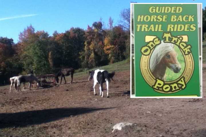 Man Assaults Employee At Pittstown Horse-Riding Business, Police Say