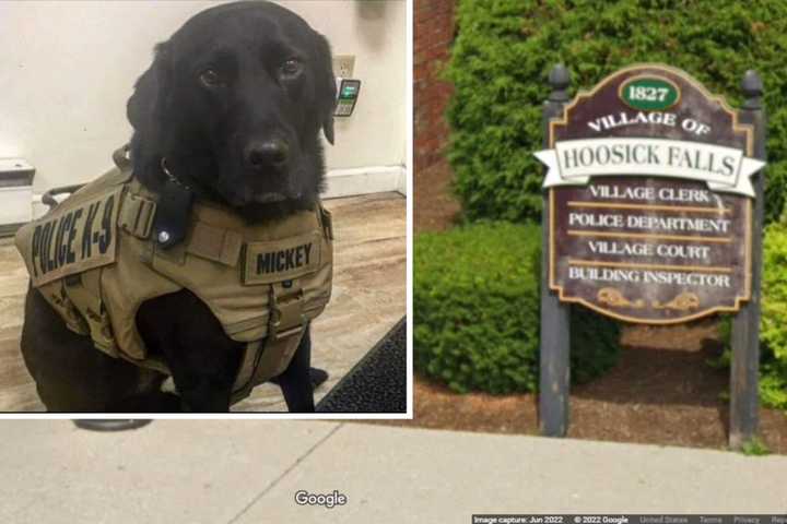 Mickey, Retired Police K9 In Hoosick Falls, To Be Euthanized Following Cancer Battle