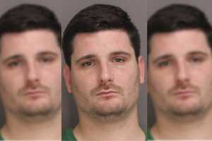 Capital Region Man Repeatedly Punched 5-Month-Old Dog In Head, Police Say