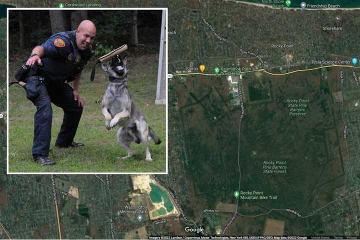 Suffolk County police officer Matthew Dewitt and his canine partner, Champ.