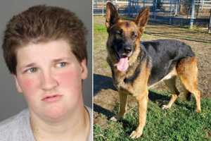 Woman Killed German Shepherd In Capital Region For 'No Justifiable' Reason, DA Says