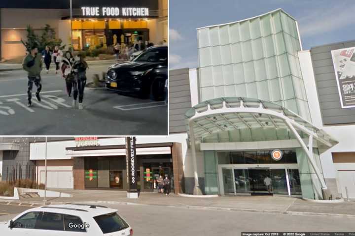 Fears of a shooting sparked panic and sent shoppers fleeing from Roosevelt Field Mall in Garden City Monday night, Dec. 26.