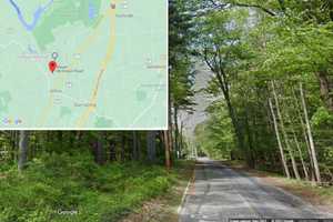 Tree Service Worker Falls To Death In Capital Region
