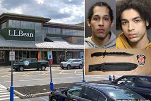 Teens Charged With Attempted Murder In Brawl At Capital Region Mall That Sparked Lockdowns