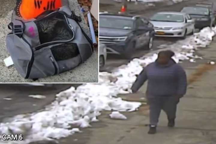 Watch: Woman Abandons Cat Next To Trash Cans In Capital Region