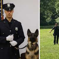 <p>K9 Maverick pictured with his handler, Kent Police Sergeant Corey Ashe.</p>