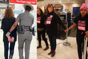 Susan Sarandon Arrested At NY Capitol During Protest Over Tipped Worker Wages