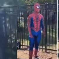 <p>A 14-year-old girl is facing charges after allegedly assaulting a 15-year-old boy who was dressed up as Spider-Man at Derby Park in Hudson Falls on Wednesday, June 21.</p>