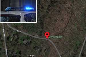 Lost Duo Rescued From Hiking Preserve In Armonk With Help Of Phone App