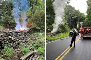 Downed Wires Cause Smoking Brush Fire In Somers