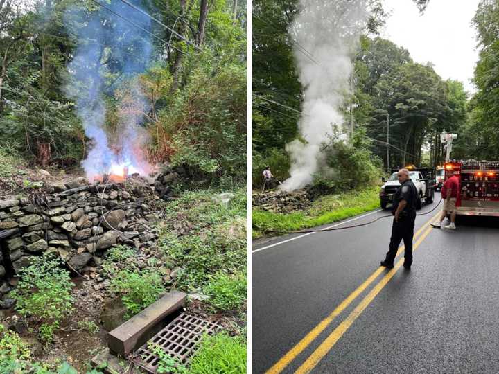 Downed Wires Cause Smoking Brush Fire In Westchester | Yonkers Daily Voice