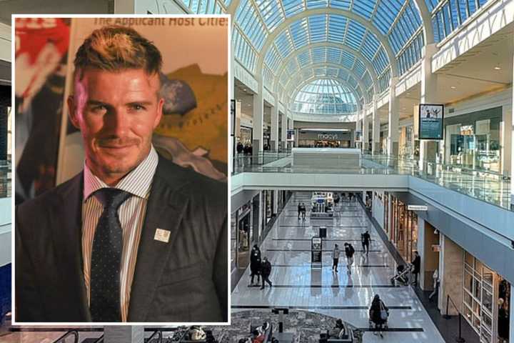 David Beckham Beckons Crowds To Roosevelt Field Mall (Video)