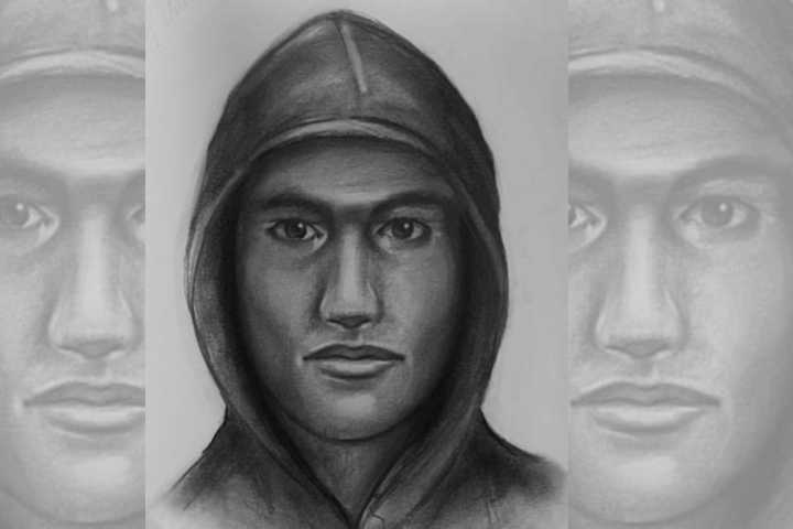 New Details: Burglar Sexually Assaults Women During Break-Ins At Mastic Beach Homes, DA Says