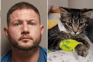 Kitten’s Abuse Probe Leads To Rape, Robbery, Other Charges Against Capital Region Man