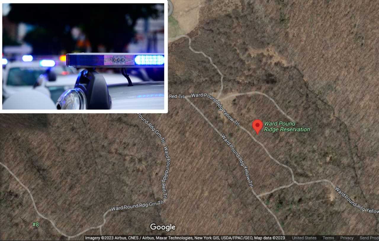 Woman Assaulted By Couple After Fight Over Unleashed Dog In Pound Ridge ...