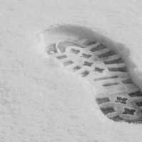 <p>An alleged burglar in Albany was arrested after police followed his snowy footprints.&nbsp;</p>