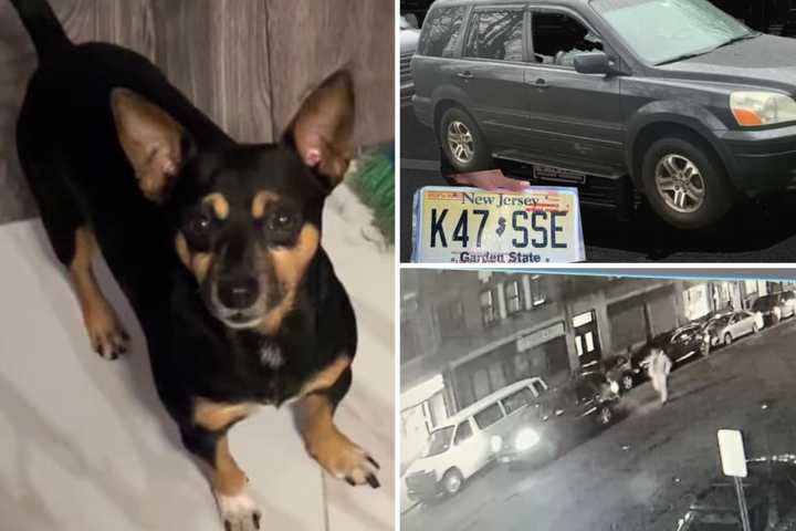 Vehicle With Dog Inside Stolen In Westchester: Suspect At Large, Police Say