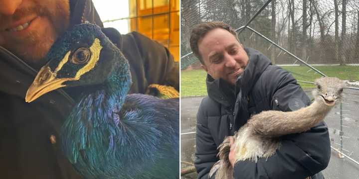 John Di Leonardo, executive director of Humane Long Island, holds birds confiscated from a North Bellmore home on Tuesday, Jan. 23.&nbsp;
  
