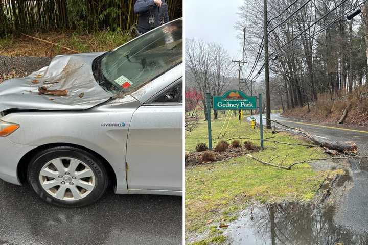 Large Tree Falls On Occupied Car Near Park In Chappaqua