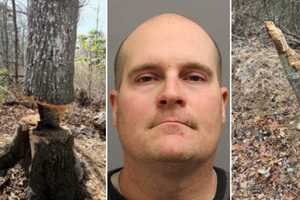 Fitting Punishment Awaits Man Who Cleared $20K Of Timber From Nesconset Park, DA Says