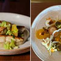 <p>Wild striped bass (left) and pan seared scallops.&nbsp;</p>