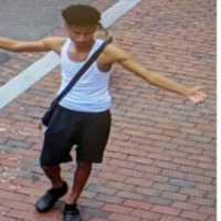 Suspect On The Run After Trying To Kidnap DC Boy: Police