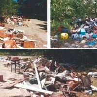 Suspect Fined, Ordered To Clean Pine Barrens In Suffolk County After Illegally Dumping Trash