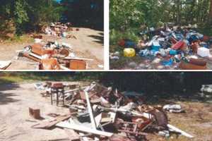 Suspect Fined, Ordered To Clean Pine Barrens In Suffolk County After Illegally Dumping Trash