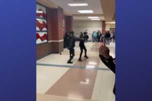 Video Shows Brawl At Spotsylvania HS That Left Teen Hospitalized