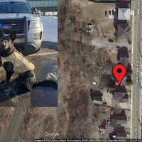 Update: New Details Released About Shooting Deaths Of Suspect, CT State Police K9