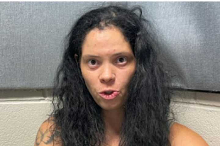 Brandywine Woman Arrested For Running Over Boyfriend With Car, Killing Him