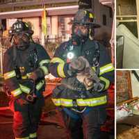 Cats, Dog, Rabbit Rescued From House Fire In Mount Vernon: Investigation Ongoing