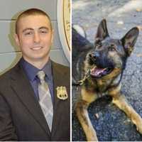 New Hudson Valley K-9 Named After Officer Killed In Motorcycle Crash