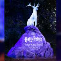 'Harry Potter: A Forbidden Forest Experience' Hosts Magical 'Halloweekend' Event In Leesburg