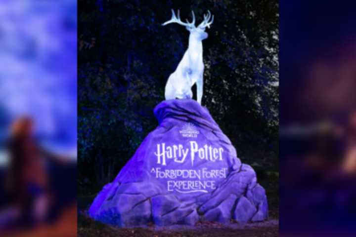 'Harry Potter: A Forbidden Forest Experience' Hosts Magical 'Halloweekend' Event In Leesburg