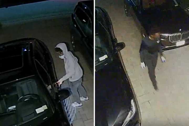 Police Search For Duo Accused Of Stealing Items From Unlocked Vehicle, Entering Jericho Home