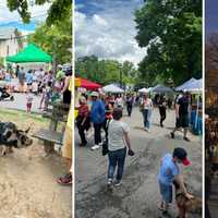 Tarrytown, Sleepy Hollow Farmers' Market Ranks Among Top 10 In NY In Competition