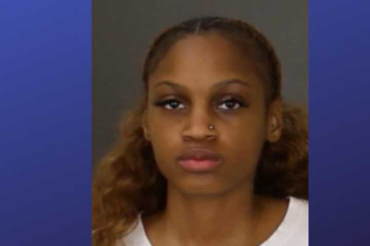 Maryland Woman Tried To Stab Teen To Death, Police Say