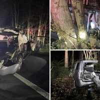 <p>An SUV was sent into the woods after hitting a tractor-trailer on an exit ramp in Harrison.</p>