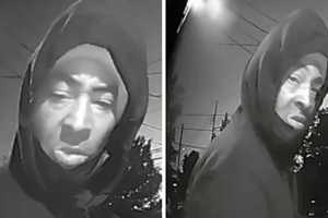 Police Search For Suspect Accused Of Entering Elmont Home Through Window, Stealing Jewelry