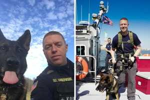 'Rest Easy': Hudson Valley Police Department Loses 2nd K9 Officer In Same Week