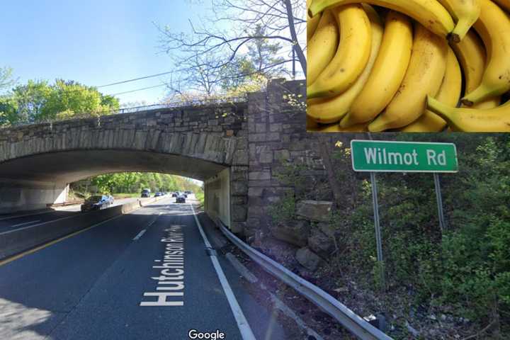 Monkey Business: Truck Carrying Bananas Slams Into Overpass On Parkway In Westchester