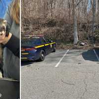 2 Ferrets Found Abandoned In Crate In Hudson Valley Parking Lot: Suspect At Large