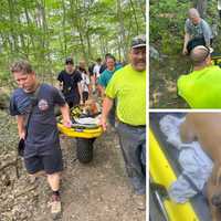 Dog Rescued After Jumping 34 Feet From Tower In CT State Park