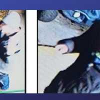Hotel Stabbing Suspect At Large After Group Parking Lot Attack In Manassas: Police