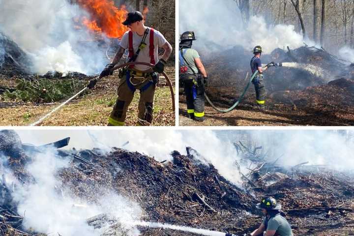 Brush Fire Breaks Out Near Route 22 In Brewster