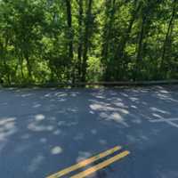 Driver Killed In Montgomery County Crash ID'd