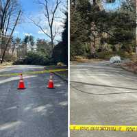 Power Outages: Winds Knock Down Wires, Transformers, Trees In Greenburgh