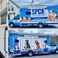 Westchester's First Mobile Adoption Unit To Debut At Chappaqua Farmer's Market