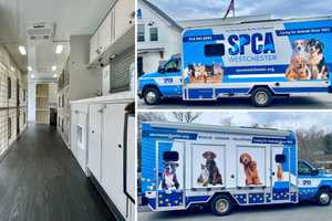 Westchester's First Mobile Adoption Unit To Debut At Chappaqua Farmer's Market